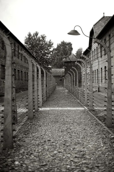 Bild aus Auschwitz, Polen — Stockfoto