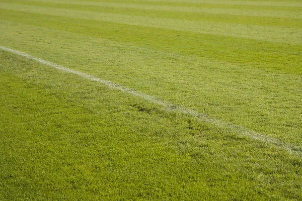 Cortar hierba en un campo de fútbol — Foto de Stock