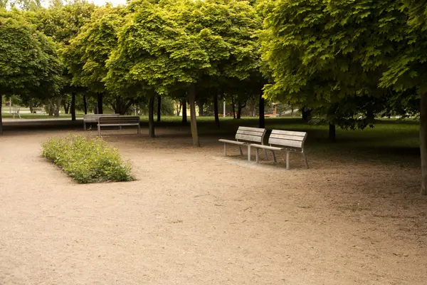 stock image Benches in park