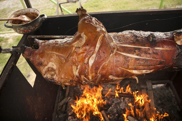 stock image Grilling small pig