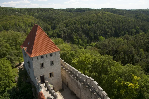 Πύργο του κάστρου και το πυκνό δάσος — Φωτογραφία Αρχείου