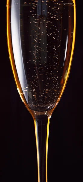 Шампанское — стоковое фото