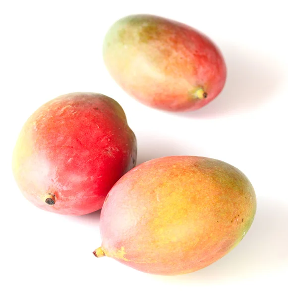Mango. — Stock Photo, Image