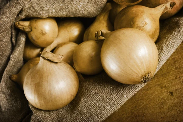 Фігурна onion.Old . — стокове фото
