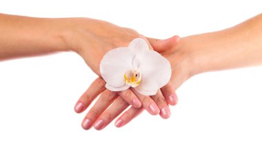 Orkide elleriyle