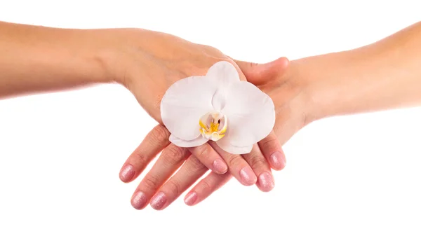 Ręce z orchidei — Zdjęcie stockowe