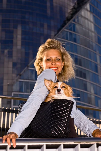 Chihuahua kadınla. — Stok fotoğraf