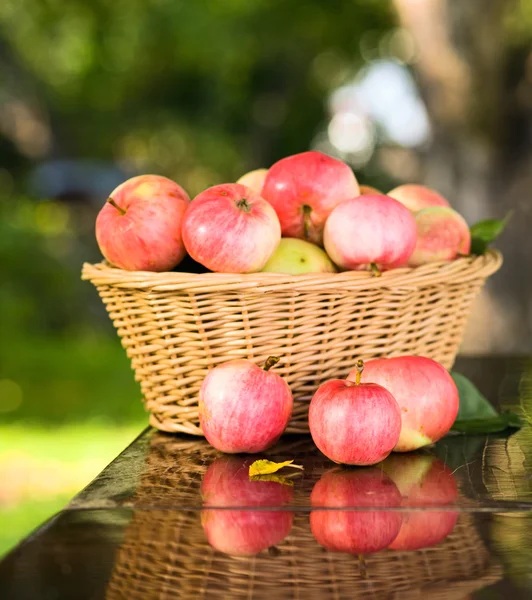 Manzanas maduras . —  Fotos de Stock