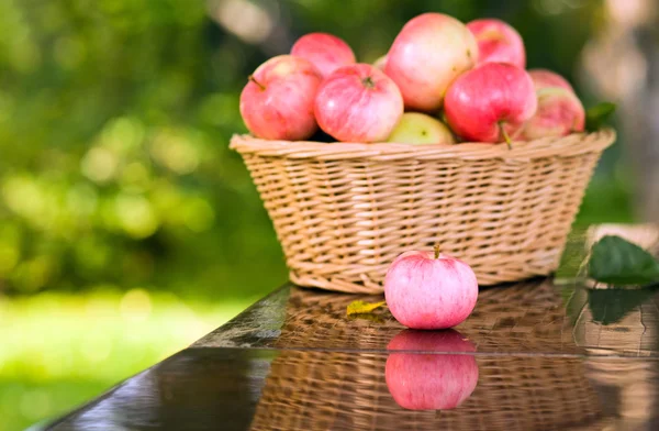 Rijpe appelen. — Stockfoto