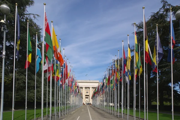 stock image National flags at UN entrance