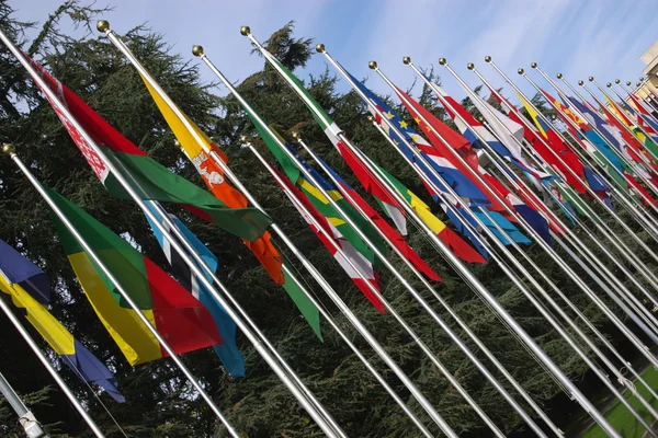 Drapeaux nationaux à l'entrée de l'ONU — Photo