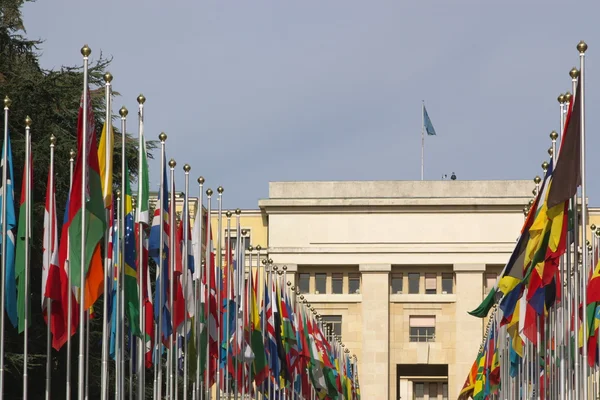 stock image National flags at UN entrance
