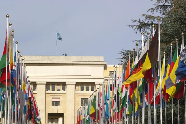 Stock image National flags at UN entrance