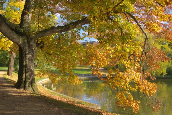 stock image Autumn scene in Dresden, Germany