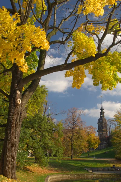 stock image Parks in Dresden