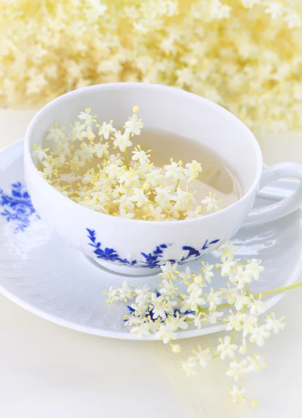 Herbata kwiat starszy — Zdjęcie stockowe