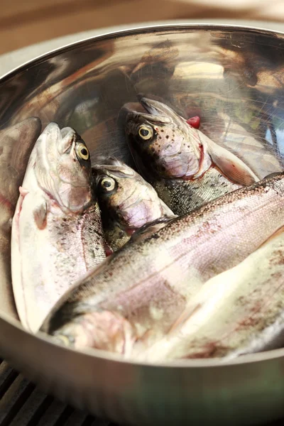 Trouts — Stock Photo, Image