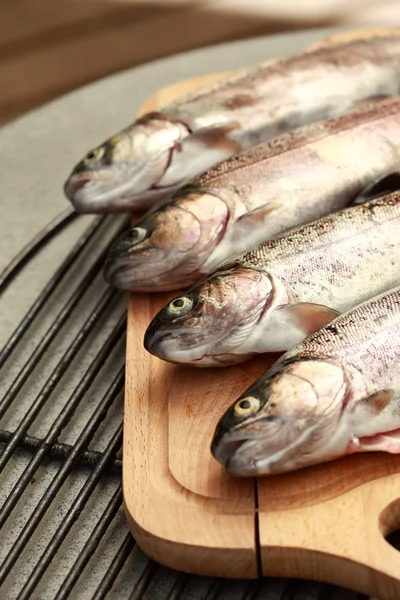 stock image Trouts