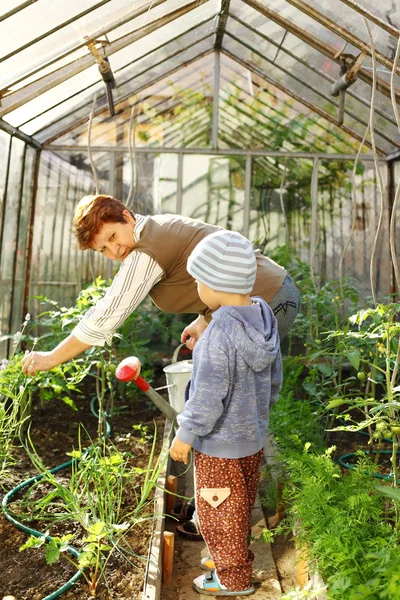 Jardinagem com vovó — Fotografia de Stock