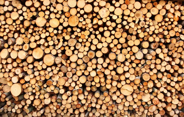 Купи деревини — стокове фото