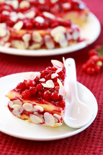 Cheesecake con ribes rosso — Foto Stock