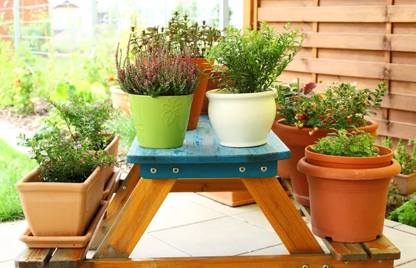 Outdoor flower pots — Stock Photo, Image