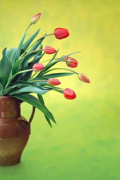 Red tulips in old jug over colored background — Stock Photo, Image
