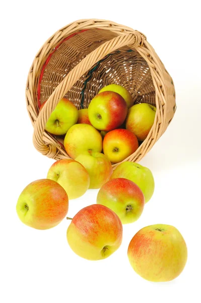 Čerstvá jablka, linoucí se z koše - izolované na bílém pozadí. clippin — Stock fotografie