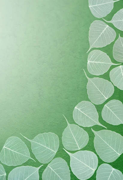 Skelettblätter über grünem Büttenpapier. Schneidpfad inklusive. — Stockfoto