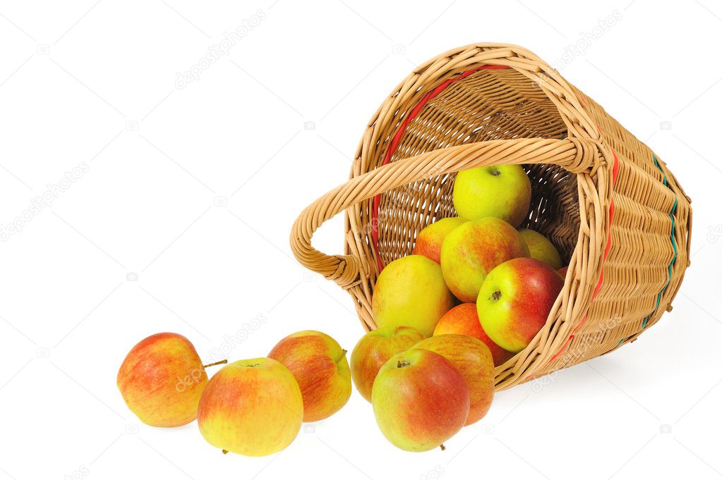 Fresh apples spilling out of basket - isolated on white background. Clippin