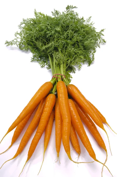 Bundle carrots — Stock Photo, Image