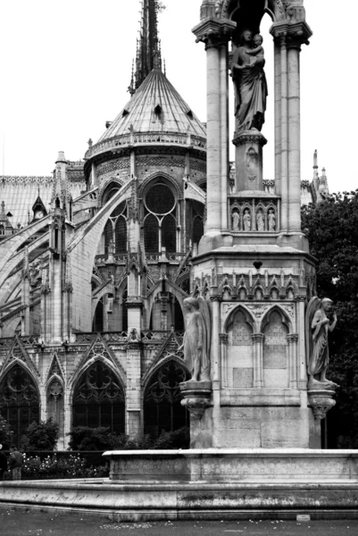 Cathédrale Notre Dame de Paris — Φωτογραφία Αρχείου
