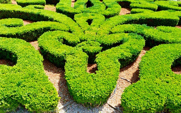 Gartenlabyrinth — Stockfoto