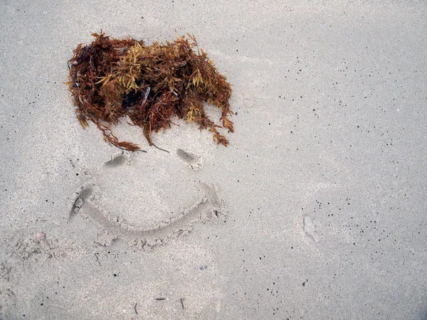 समुद्र तट स्मित चेहरा — स्टॉक फोटो, इमेज