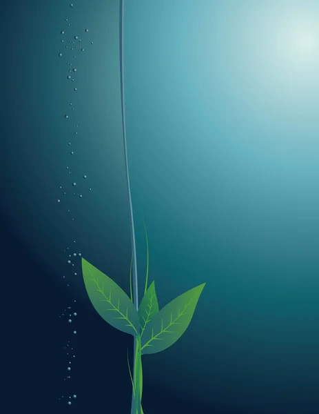 Пробіг рослини на тлі оберненої товщини води — стоковий вектор