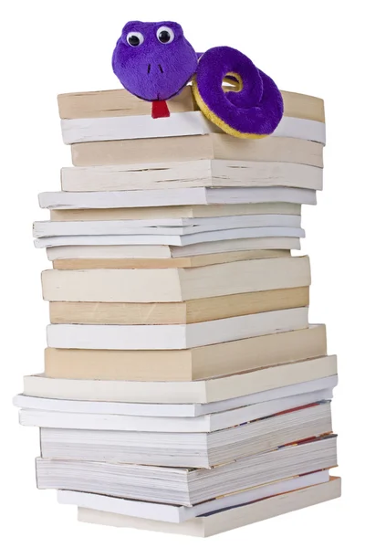Bokmal på en hög med böcker som isolerade — Stockfoto