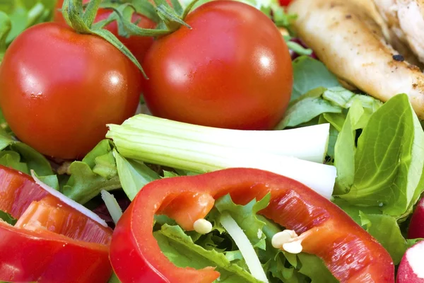 Salade de tomates close up — Photo
