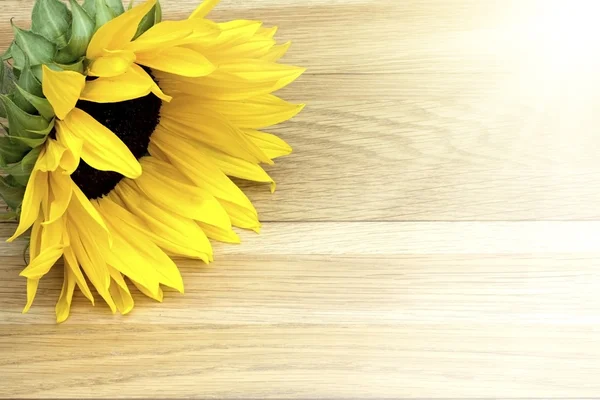 Sunflower laying on a wooden table — Stock Photo, Image