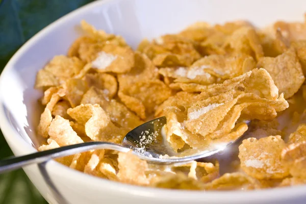 Bowl of cereal in the morning light — Stock Photo, Image
