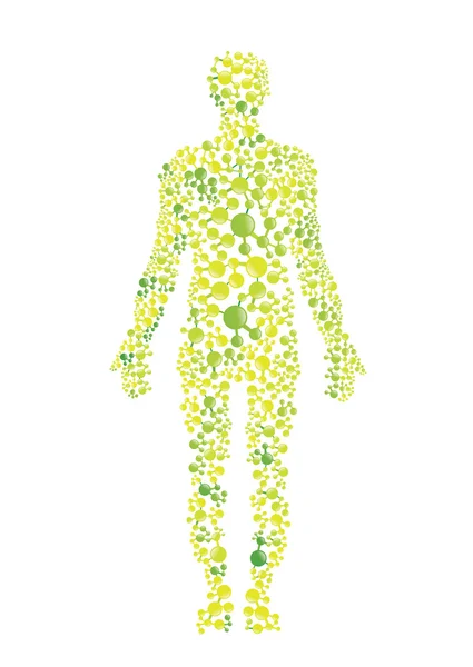Grüner menschlicher Körper — Stockvektor