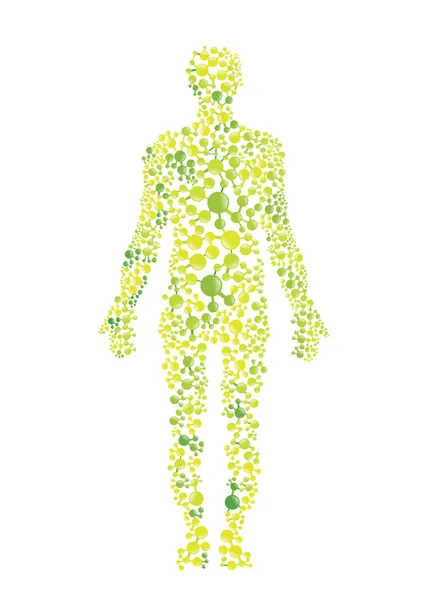 Cuerpo humano verde — Archivo Imágenes Vectoriales