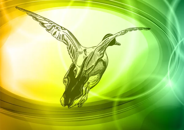 Canard sur le vert — Image vectorielle