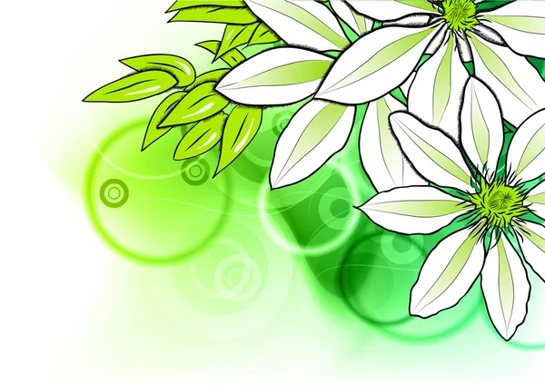 Kwiat zielony — Wektor stockowy