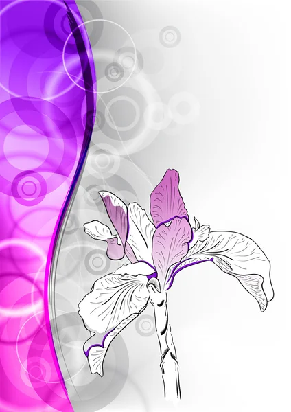 紫色的小花 — 图库矢量图片