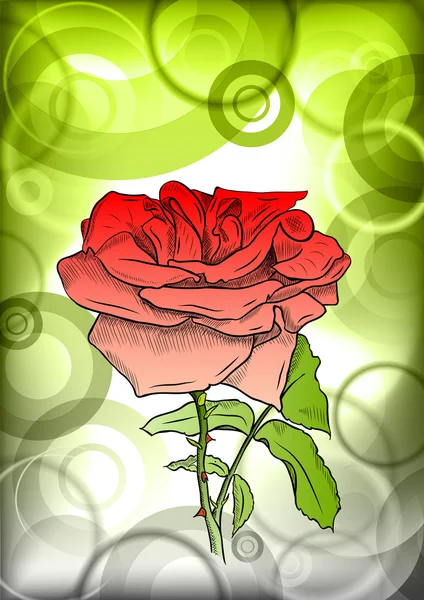 Красная роза — стоковый вектор