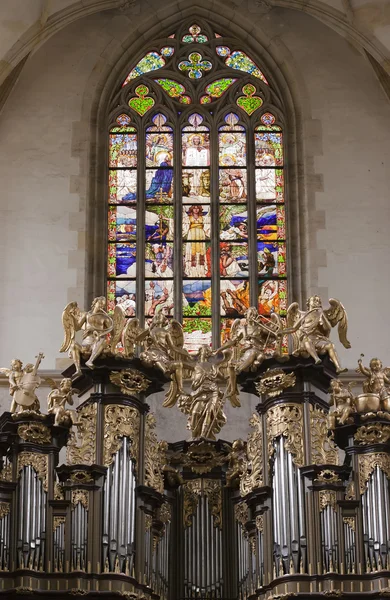 Sint barbara kerk - orgel loft - gekleurd glas — Stockfoto