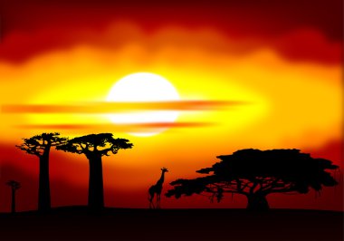 Africa sunset clipart