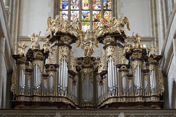 Saint barbara kyrka - orgelläktaren och målat glas — Stockfoto