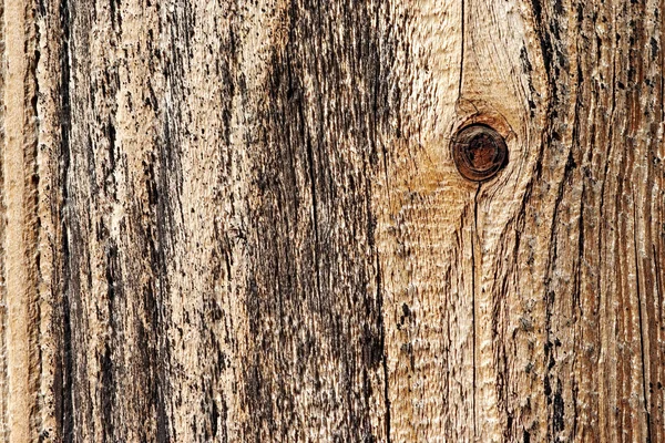 木材 - 木材のテクスチャの結び目 — ストック写真