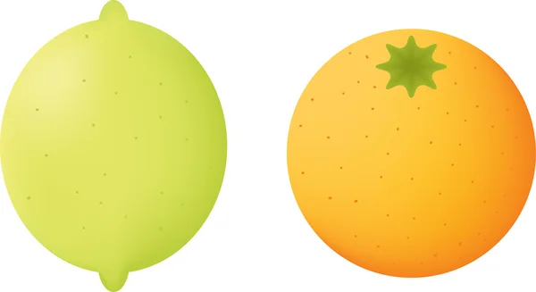 Limon ve portakal — Stok Vektör